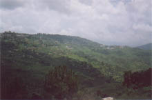 Almora